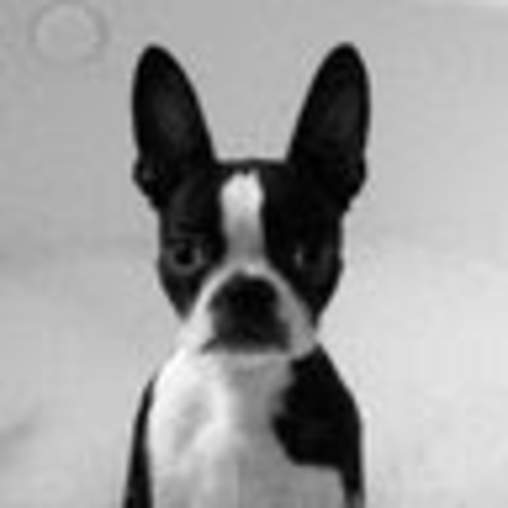 Meet your Posher, Aisha